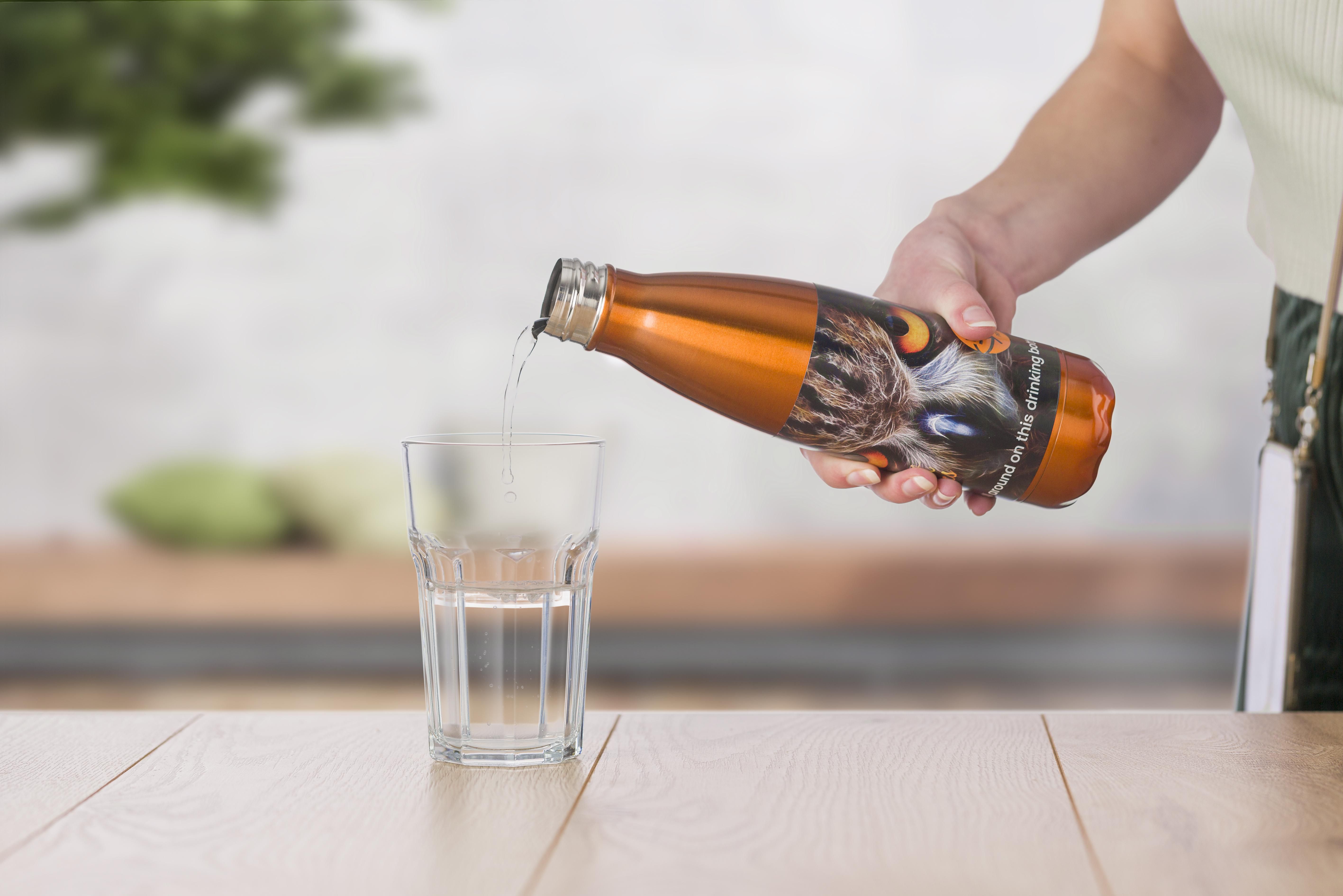 Drinkfles Sumatra | Origineel | 650 ml thumbnail